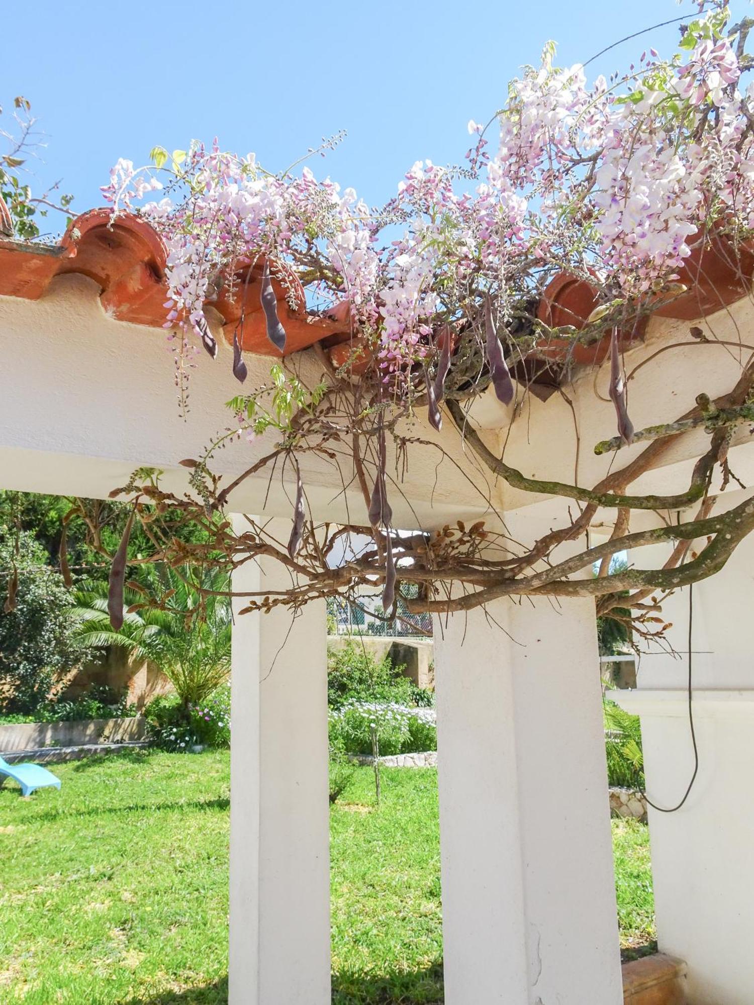Quinta De Lagos Exterior photo